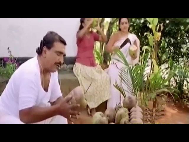 Best of Malayalam Comedy Scenes - Comedy Movies - Non Stop Comedy Clips -  Evergreen Comedy
