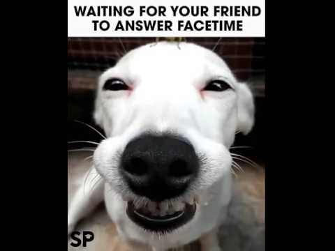Facetime Smile